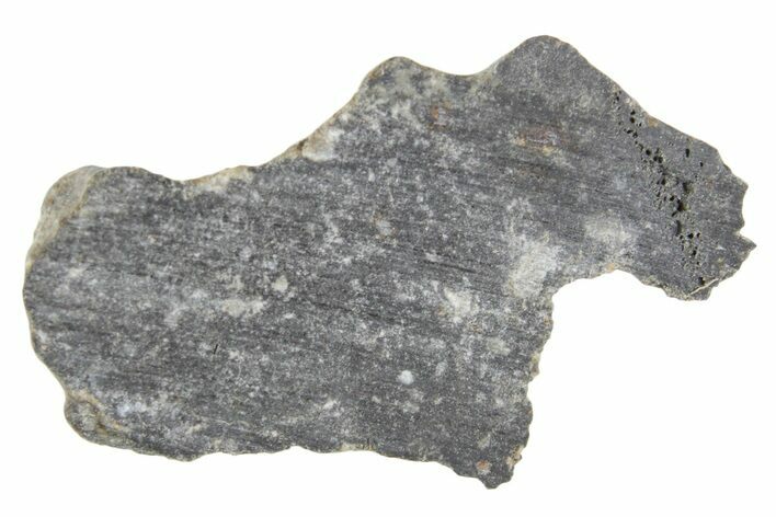Polished Lunar Meteorite ( g) Section - NWA #360248